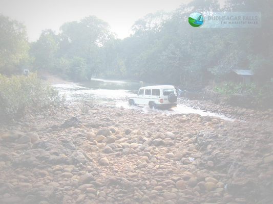 Jeep Safari to Dudhsagar falls Tour