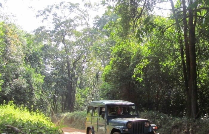 jeep safari-to-the-dudhsagar-fall