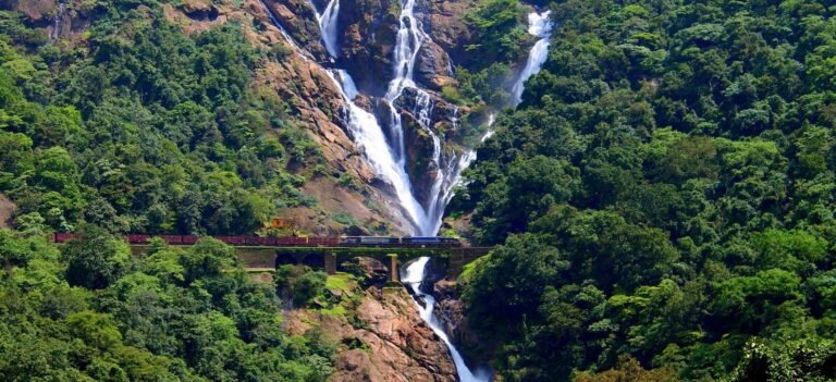 dudhsagar falls trip booking