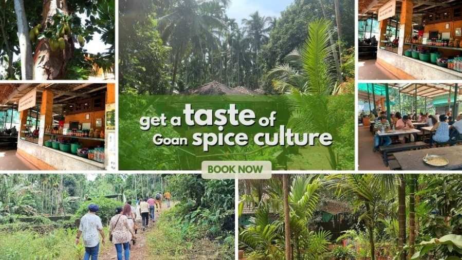 Get the taste of Goan spice culture